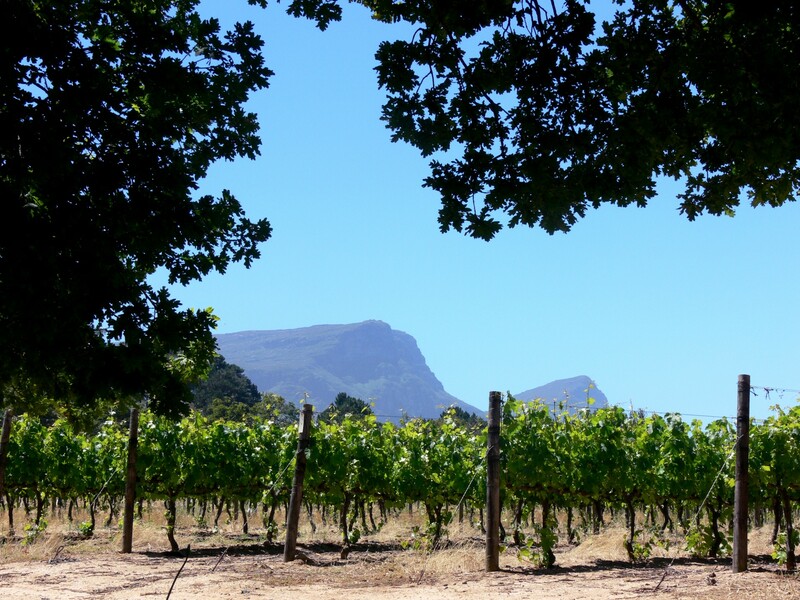 Winelands