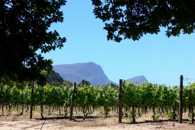 Cape Winelands